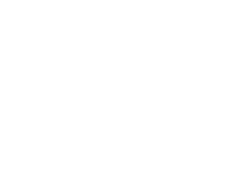 Spark Social Labs